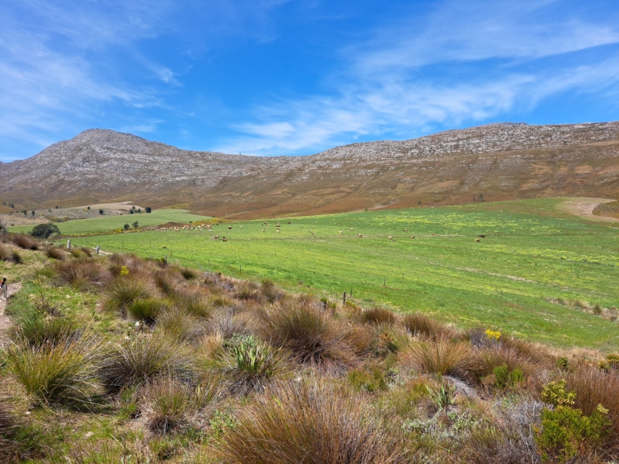 7 Bedroom Property for Sale in Riversdale Rural Western Cape